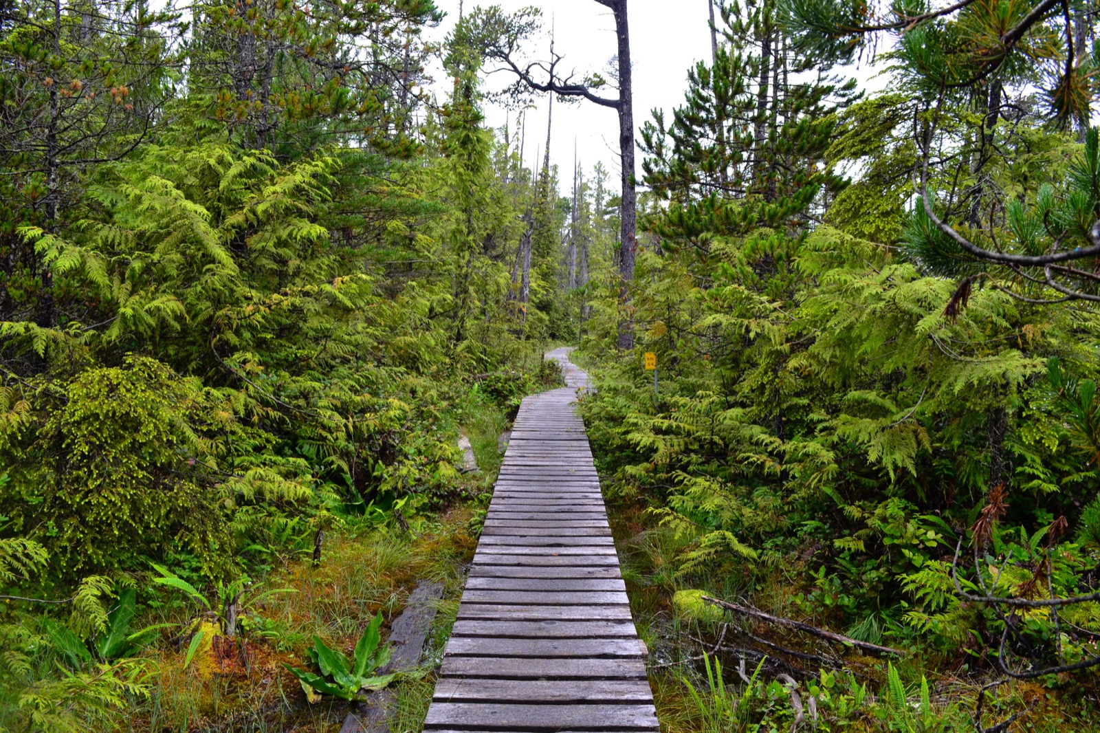 The Top 10 Multi-Day Hikes In Canada