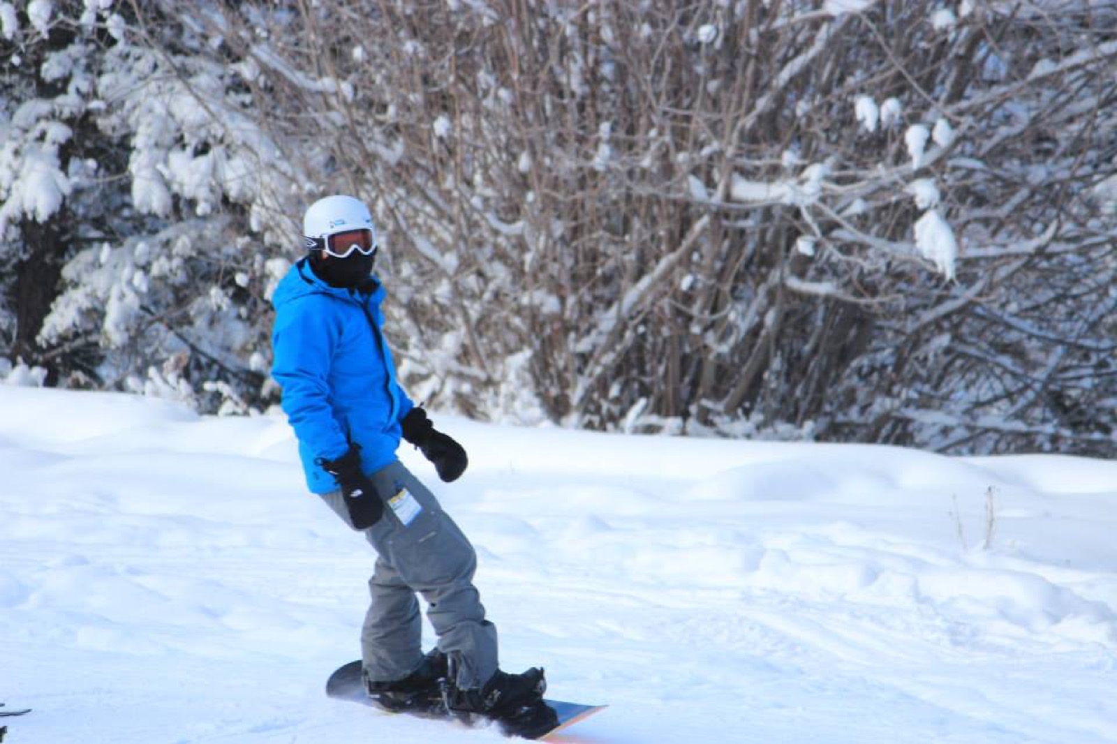 FlightHub 的滑雪日（或周末）攻略