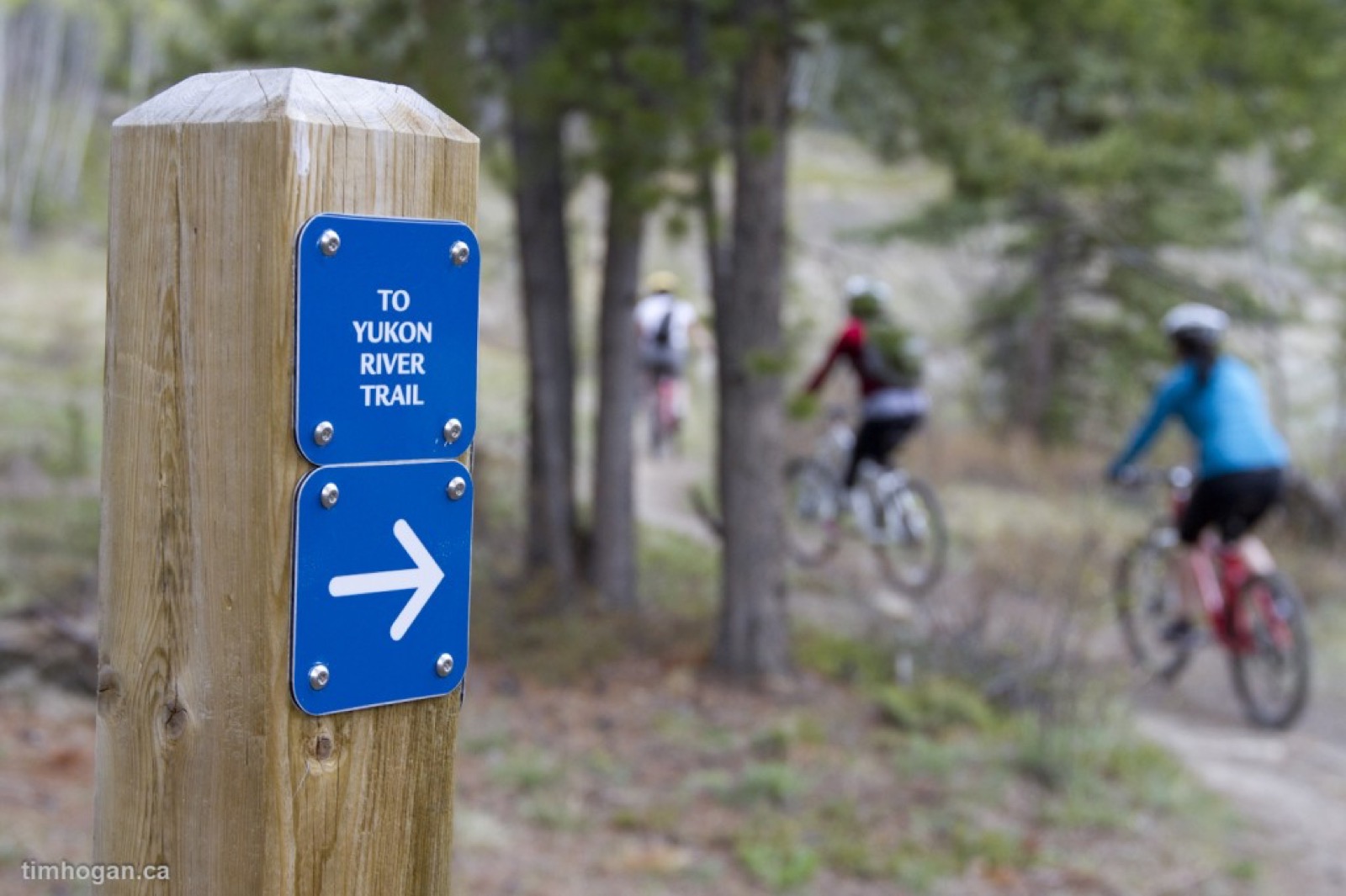 Boreale Mountain Biking