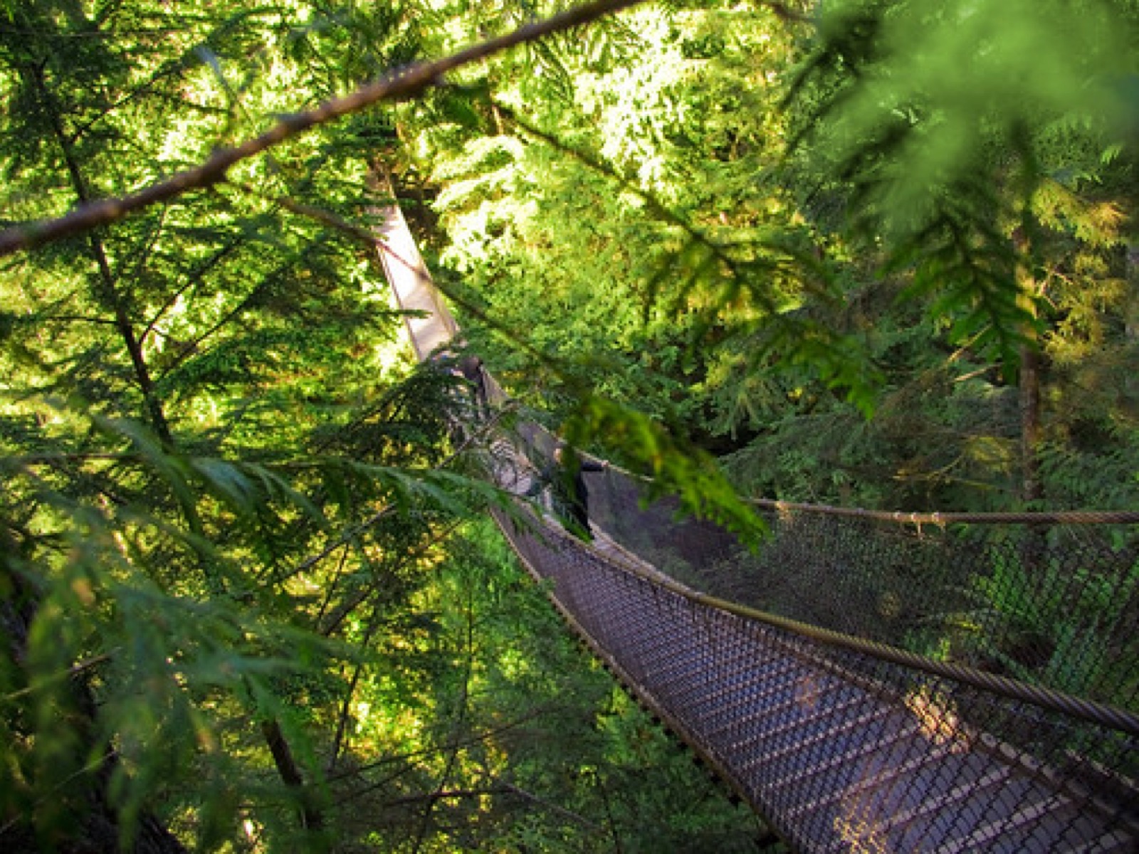 6 Vancouver Parks worth checking out this Summer