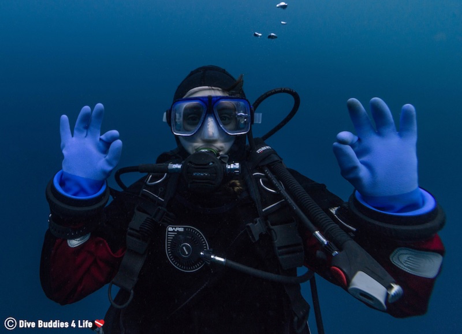 A Student’s Guide to Scuba Diving Nova Scotia