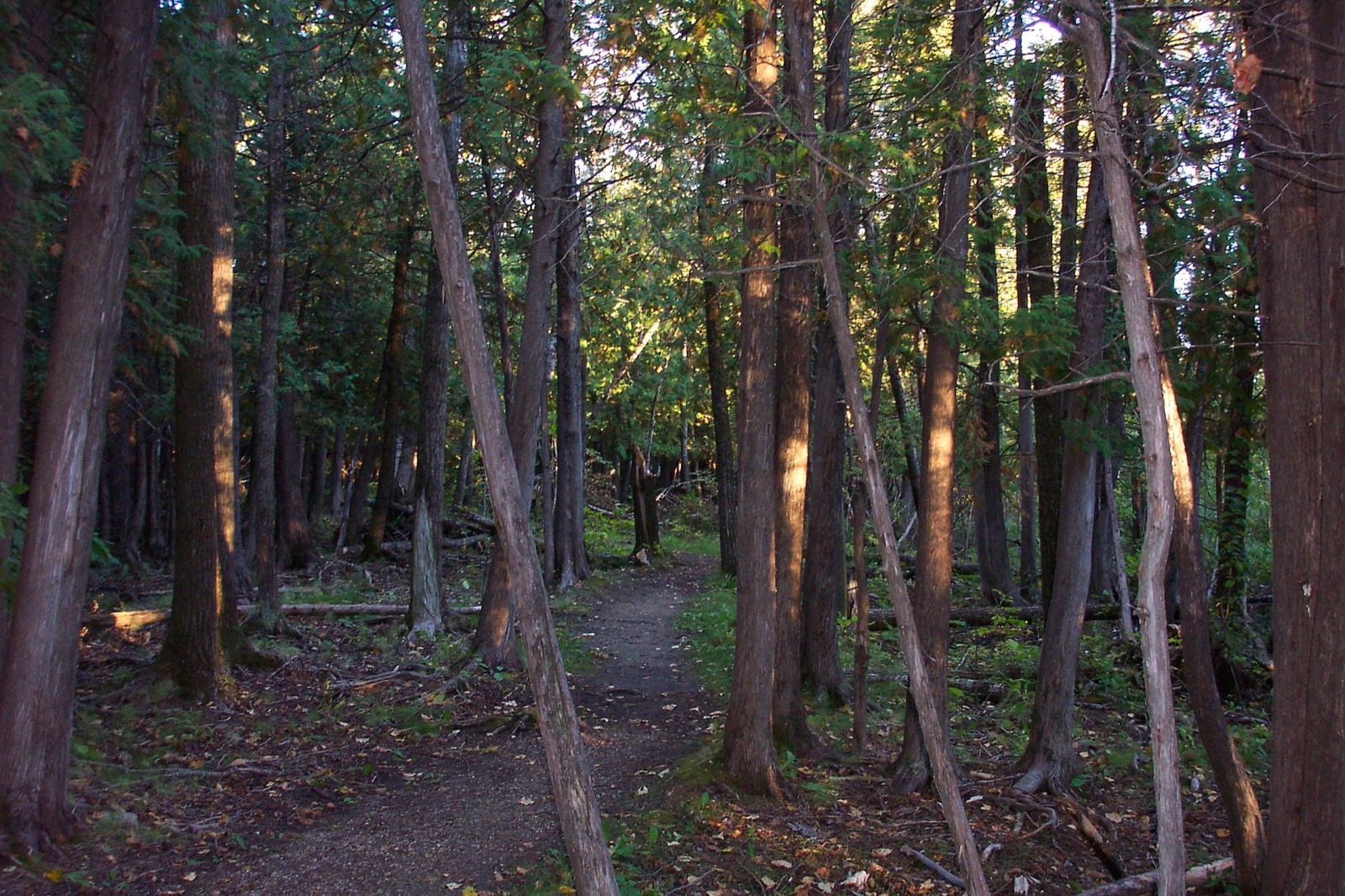 bird hills provincial park