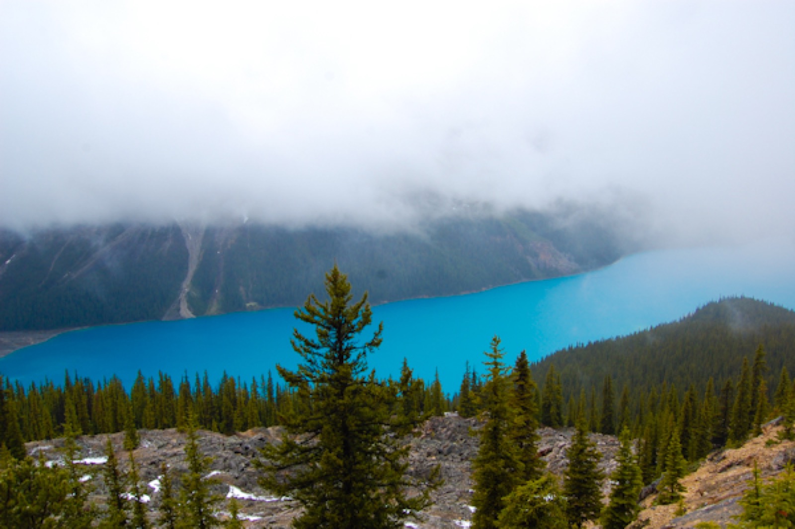 Peyto Lake Canada