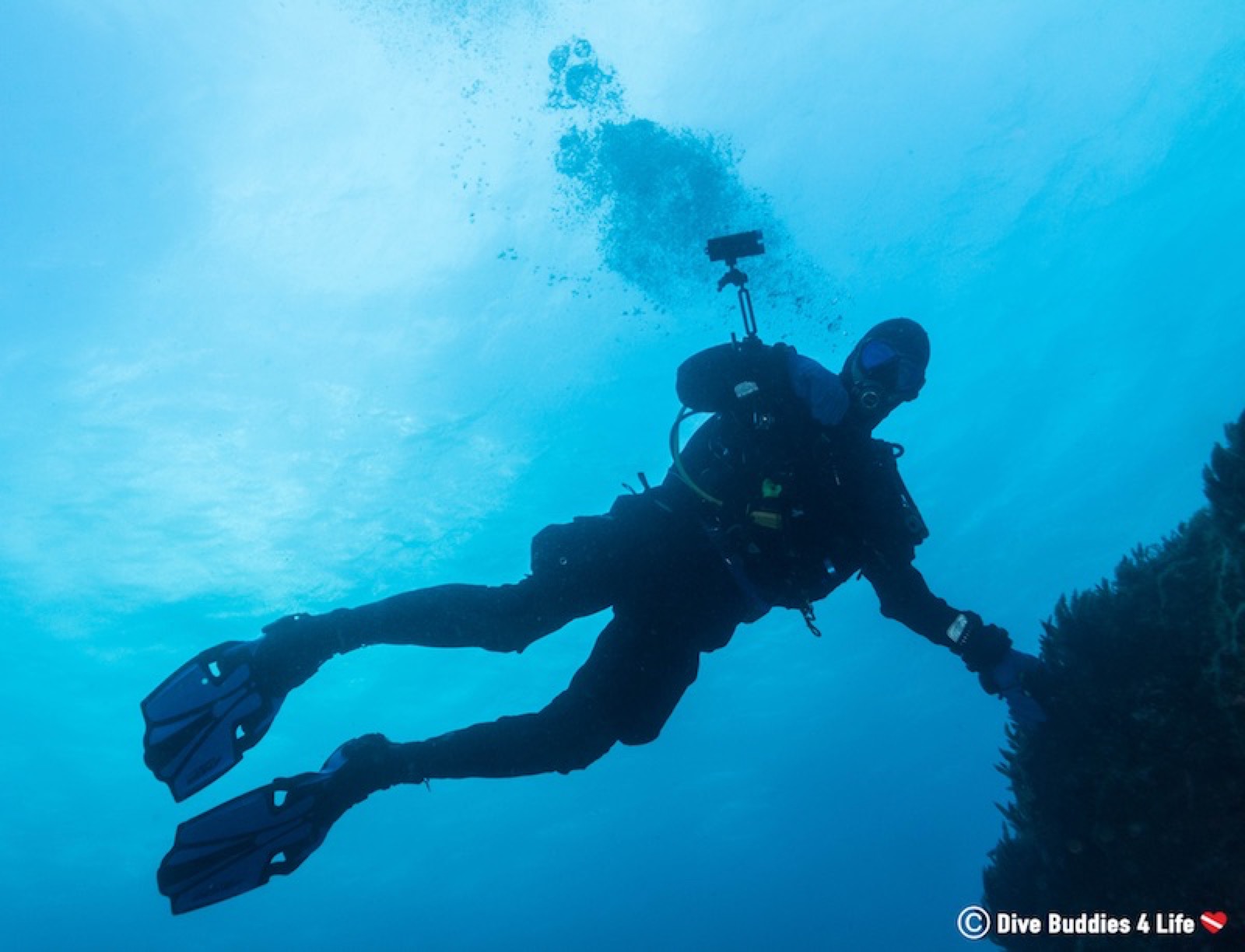 A Student’s Guide to Scuba Diving Nova Scotia