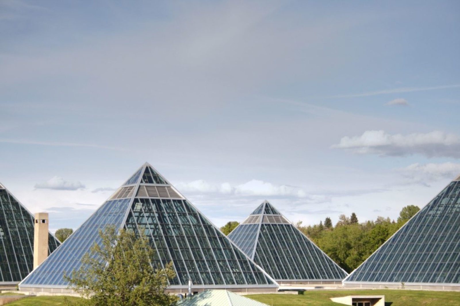 18 Things To Do In Edmonton, Alberta