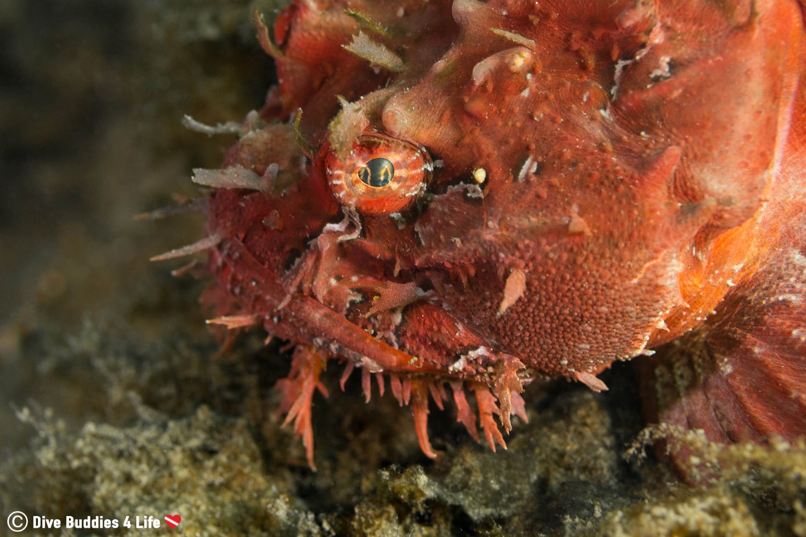 A Student’s Guide to Scuba Diving Nova Scotia