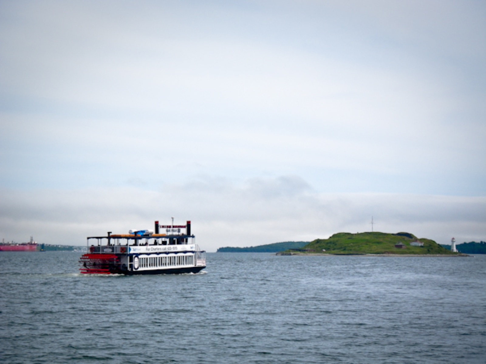 Whale Watching NS