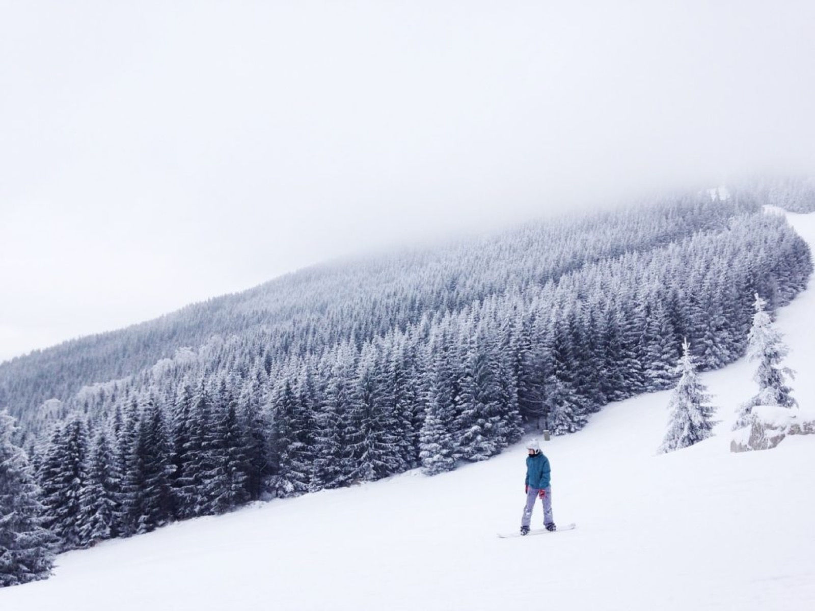 3 budgetfreundliche Skigebiete in Alberta