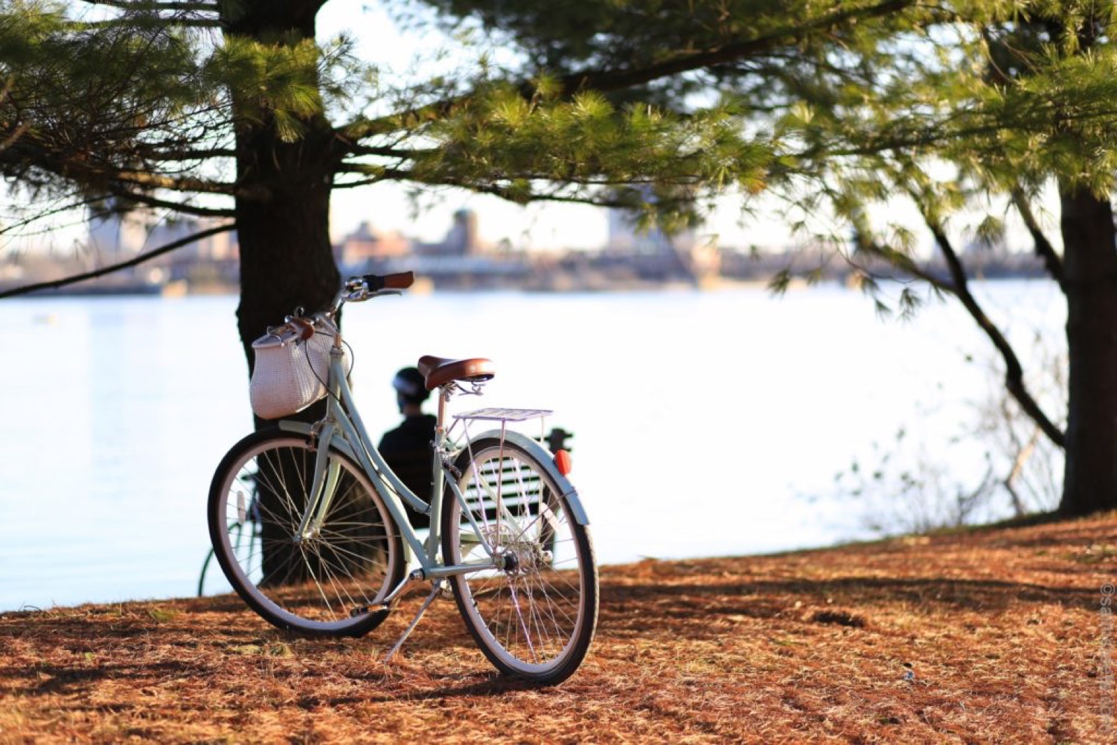 旅行をゆっくりとするべき理由４つ