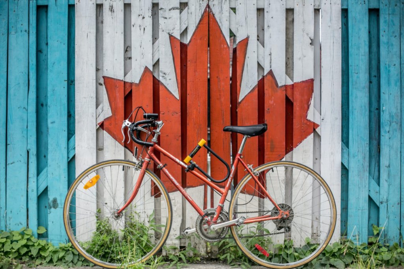 Pourquoi le Canada est une destination sûre pour les routards débutants