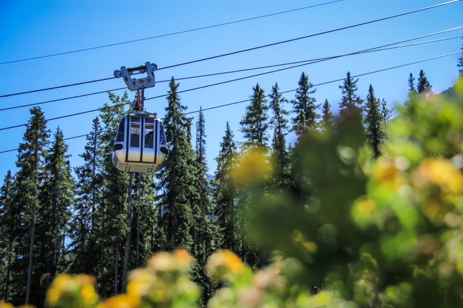 banff-alberta-gondola-1024x682