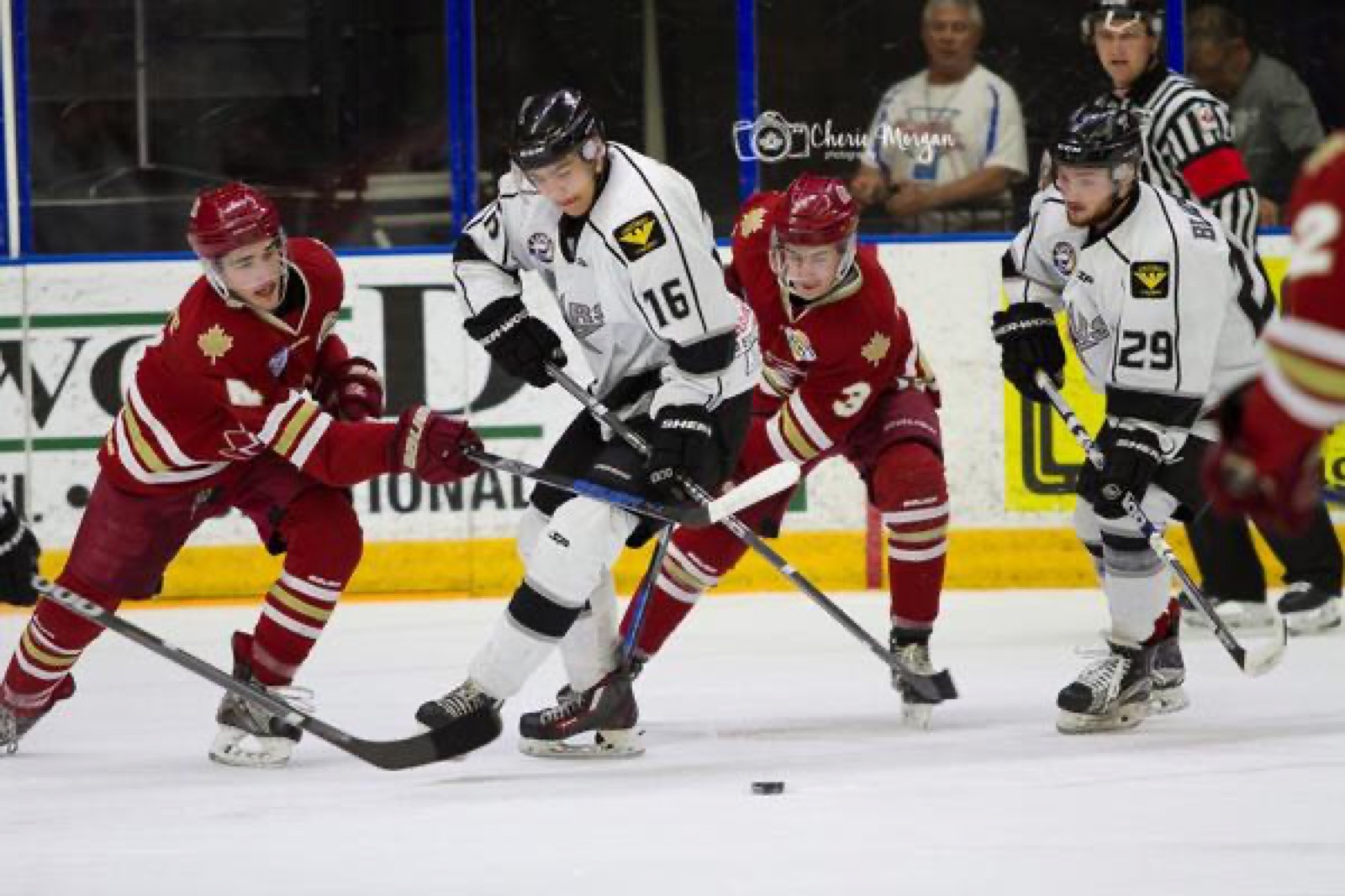 Discover Small Towns & Junior Hockey in Saskatchewan with the SJHL