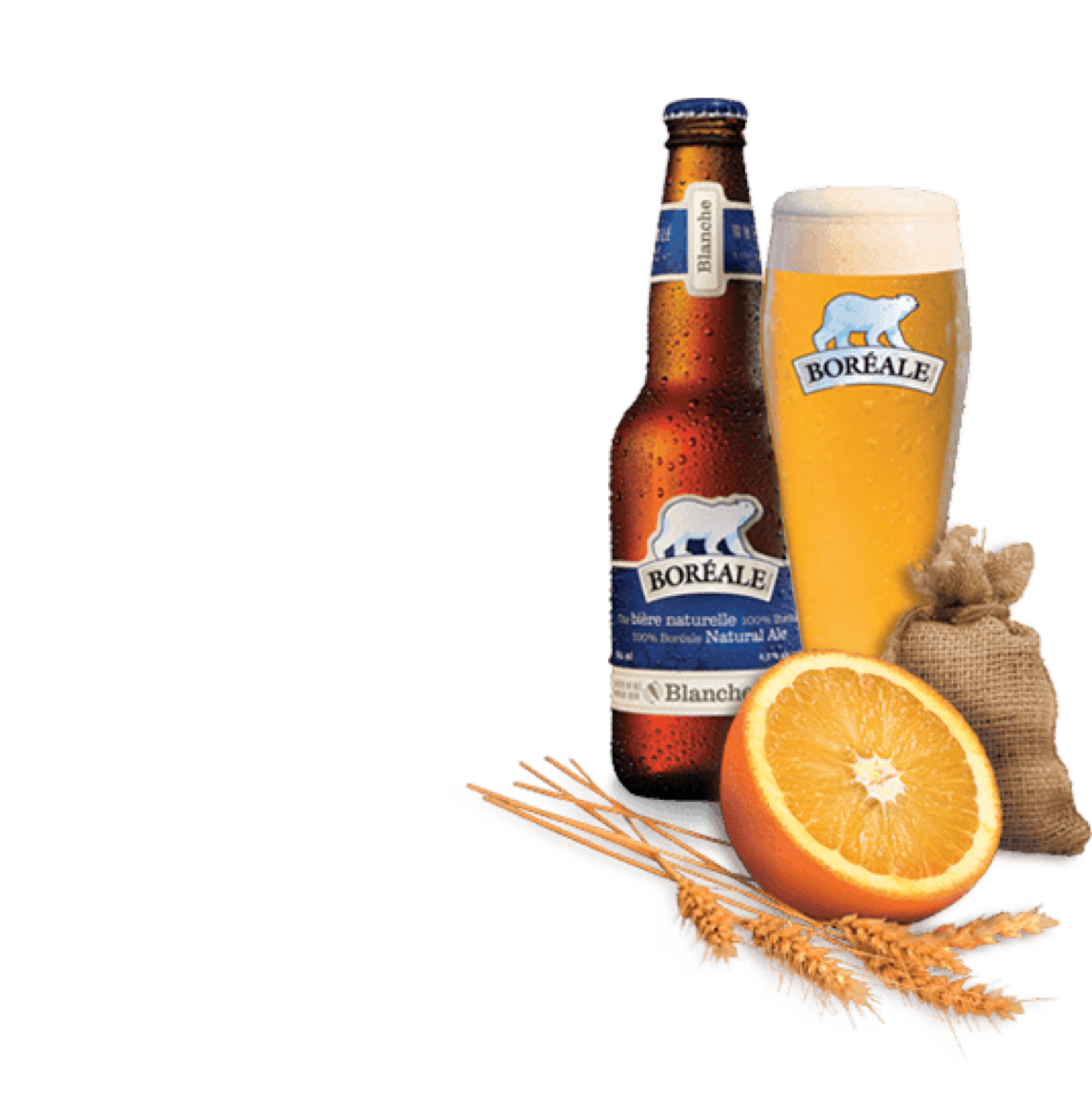 boreale-blanche-beer