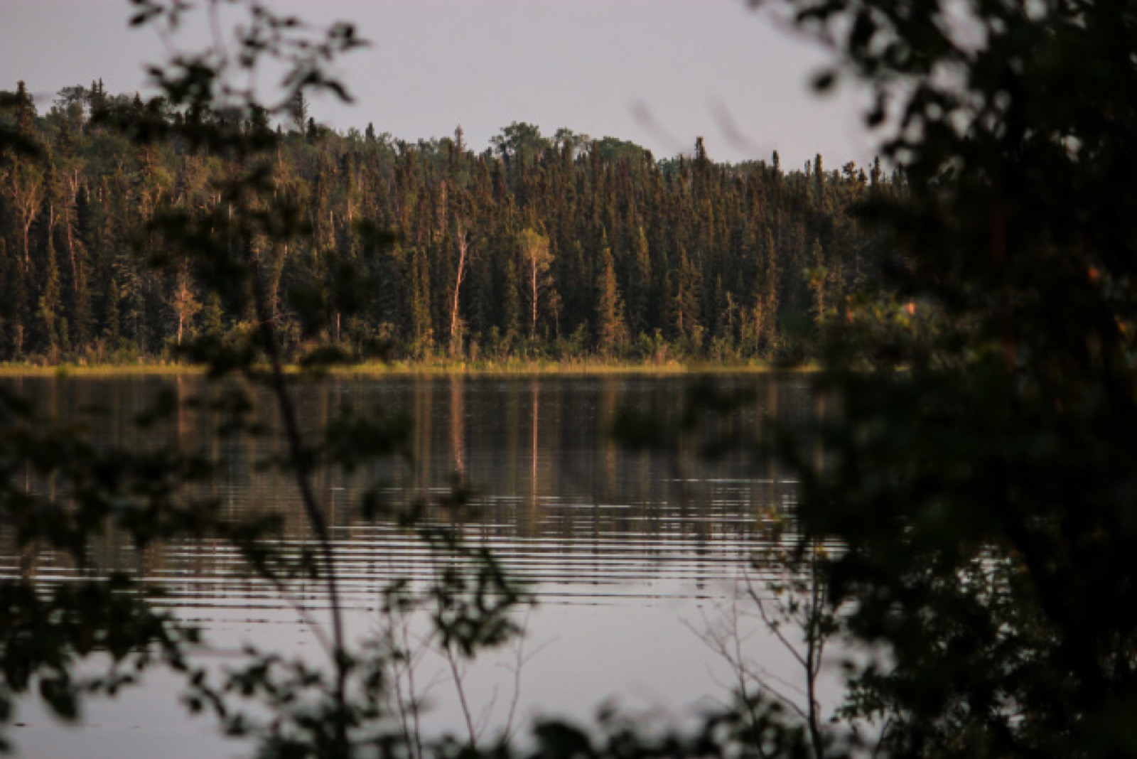 Kanufahren auf dem Churchill River System in Nord-Saskatchewan