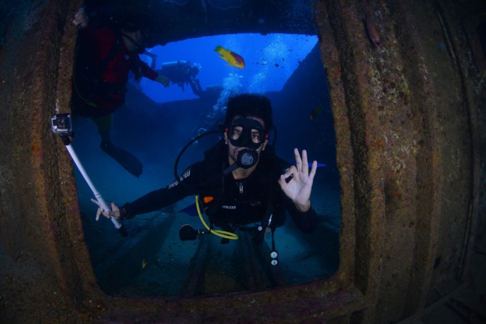 dive sites east canada