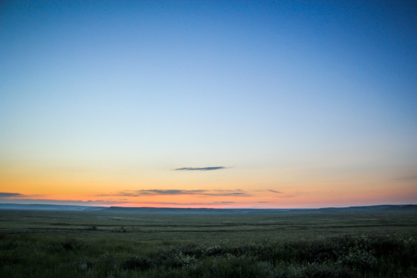 Sunset Grasslands