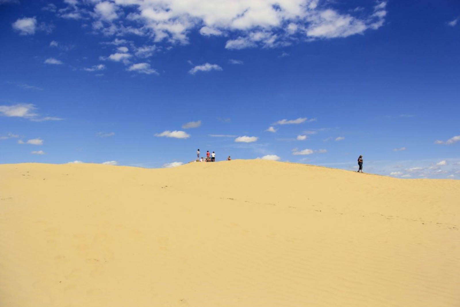 great-sandhills-saskatchewan-dunes