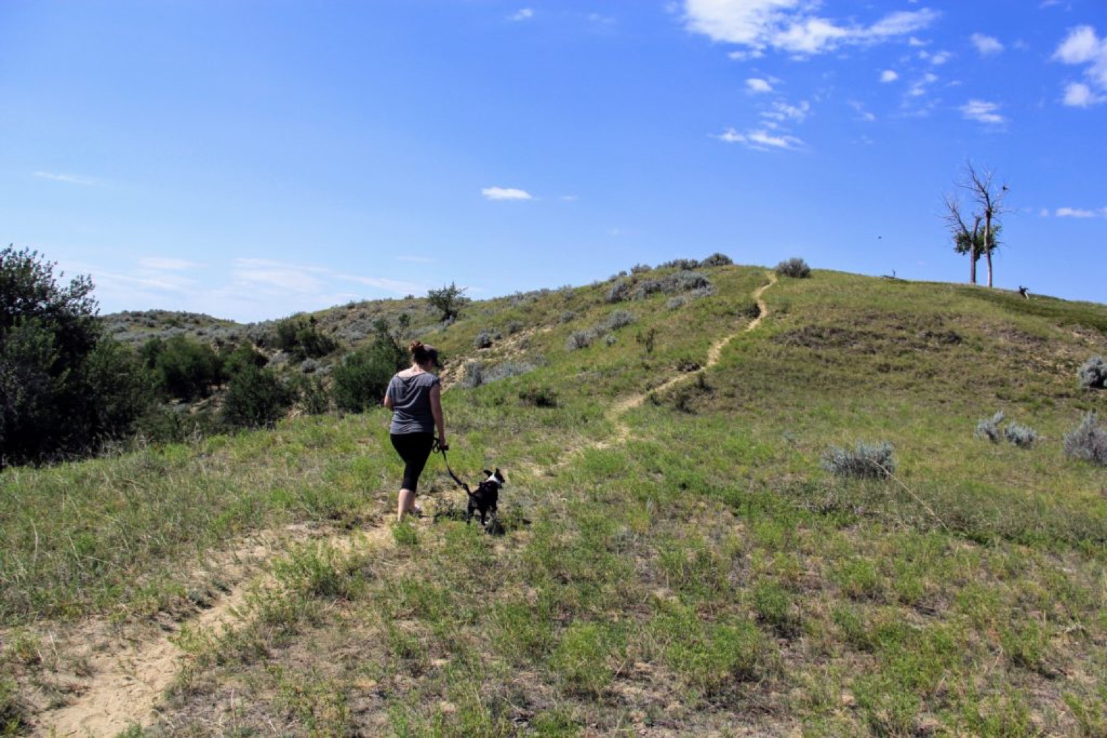 great-sandhills-saskatchewan-hiking