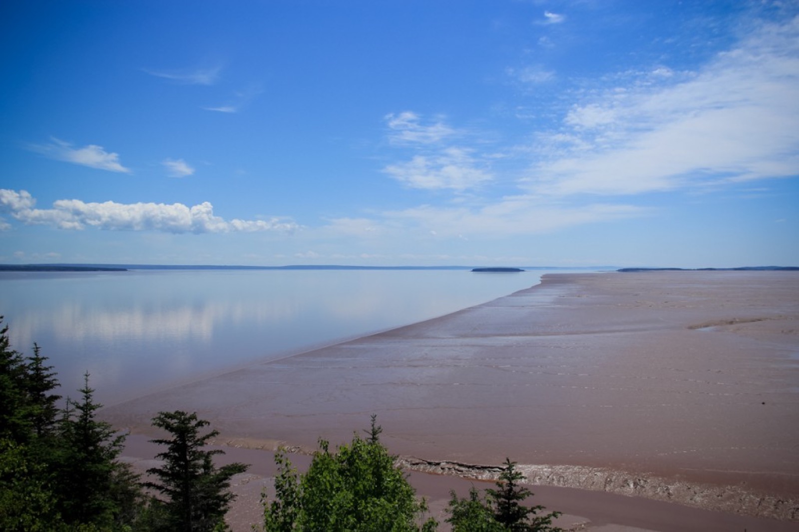 hopewell-rocks-new-brunswick-flowerpot-1