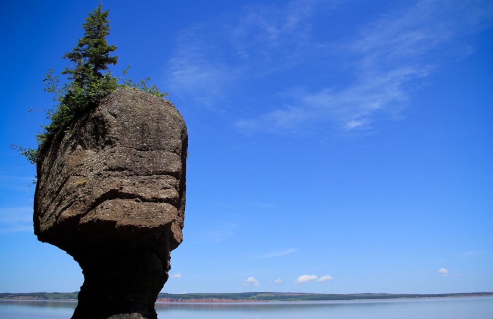 12 Things To Do In Saint John, New Brunswick