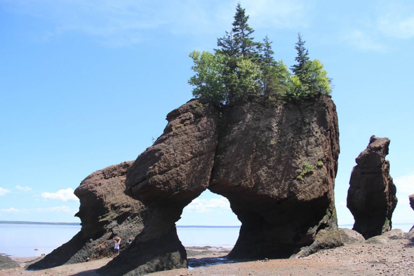 hopewell-rocks-new-brunswick-flowerpot-3