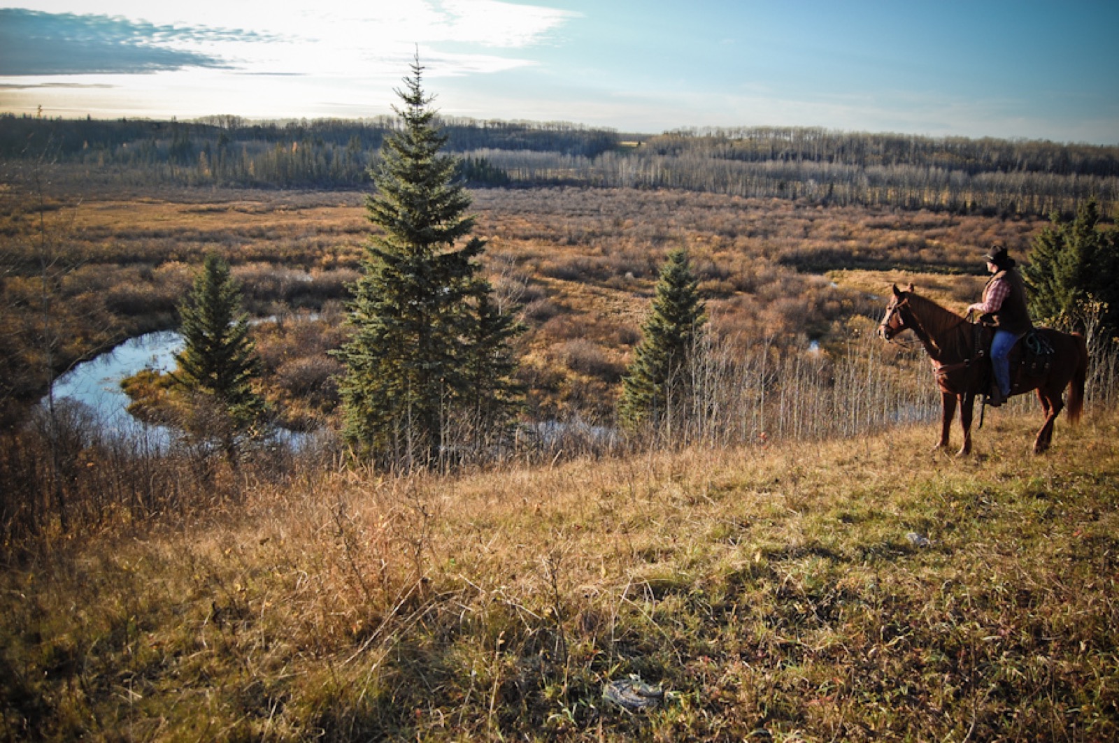 Stoney Plain Meadow Prince Albert National Park