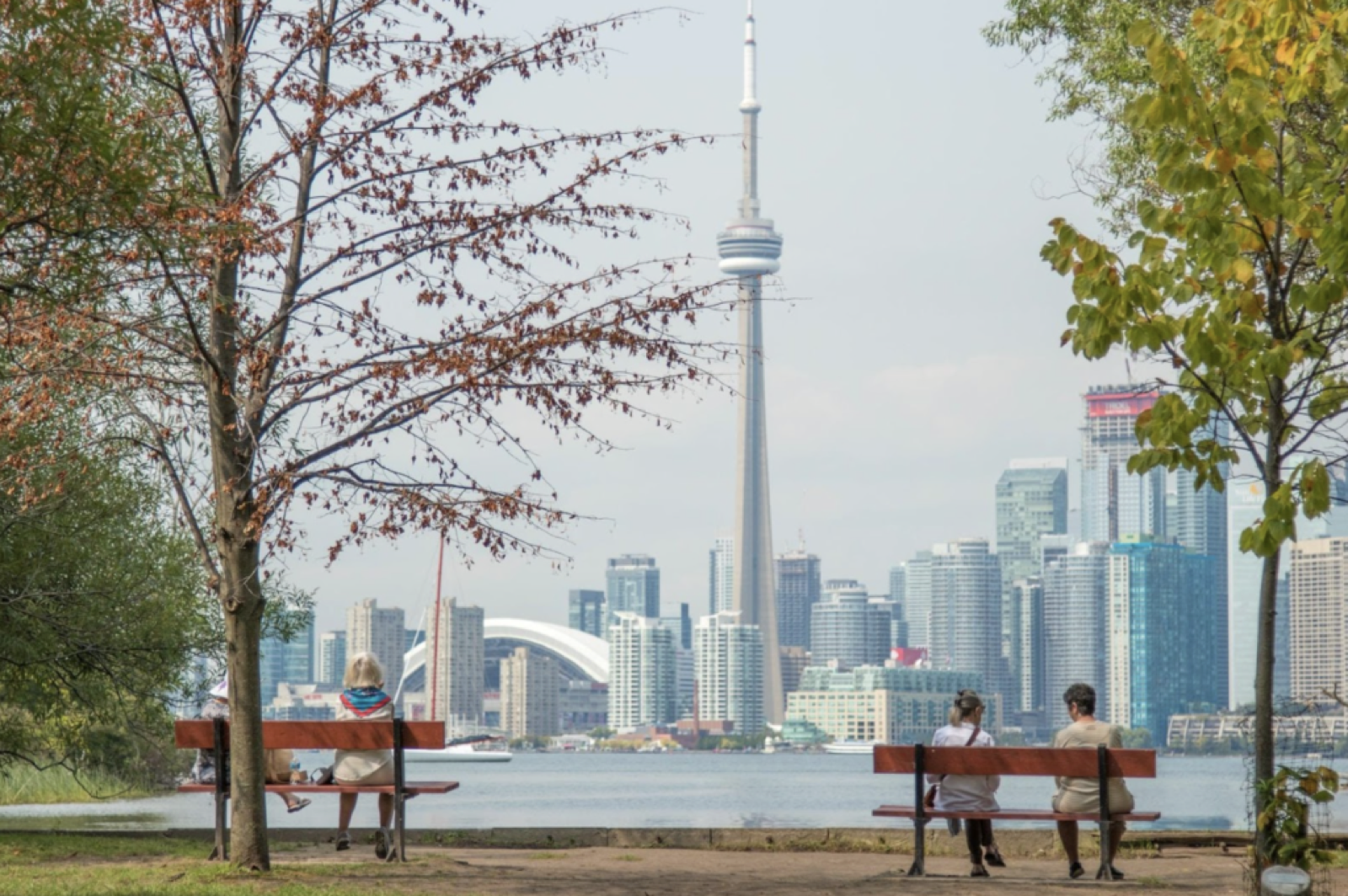 People enjoying the view of CN tower