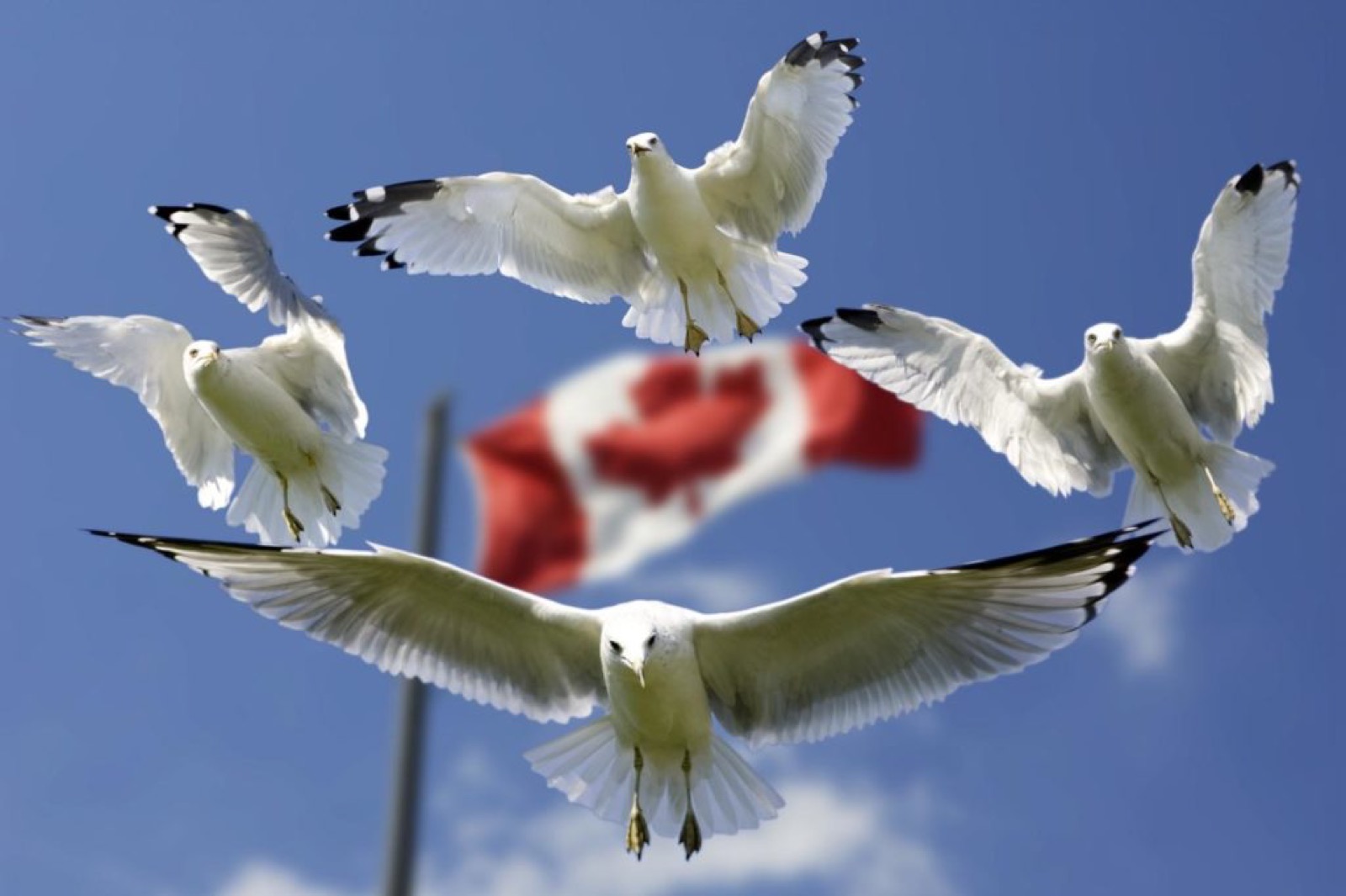 Musées canadiens à visiter lors de votre voyage à travers le pays.