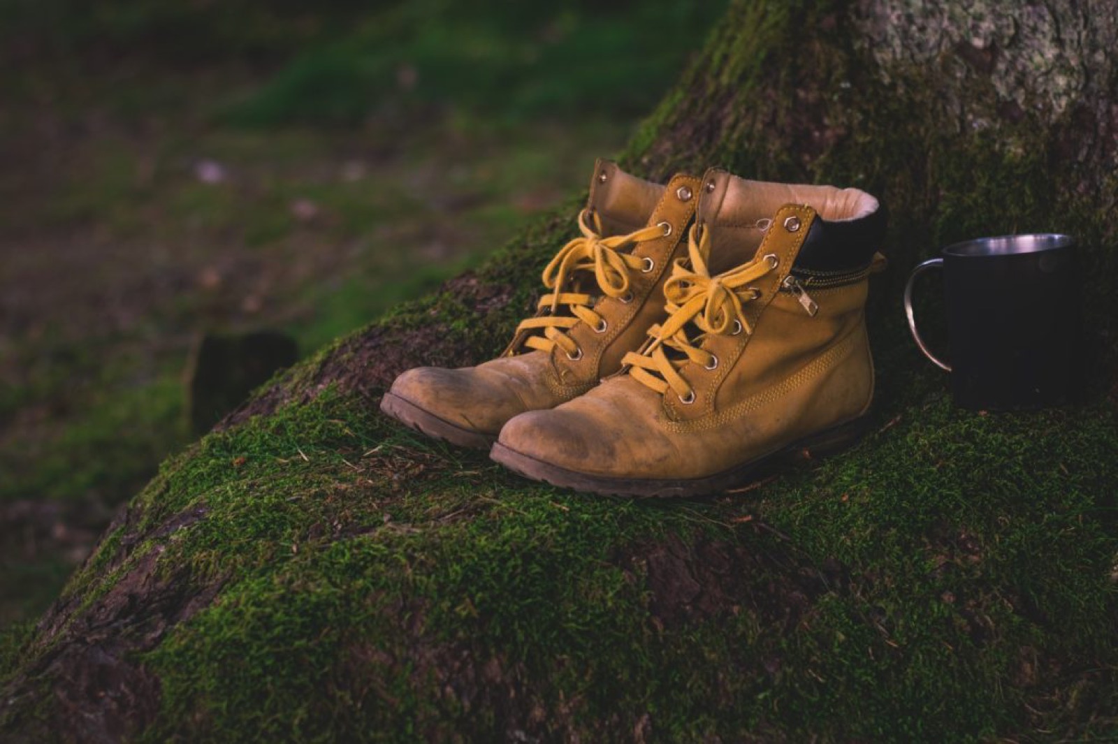 boots on hiking trails in canada