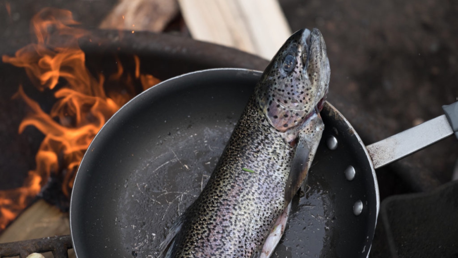 camping cooking