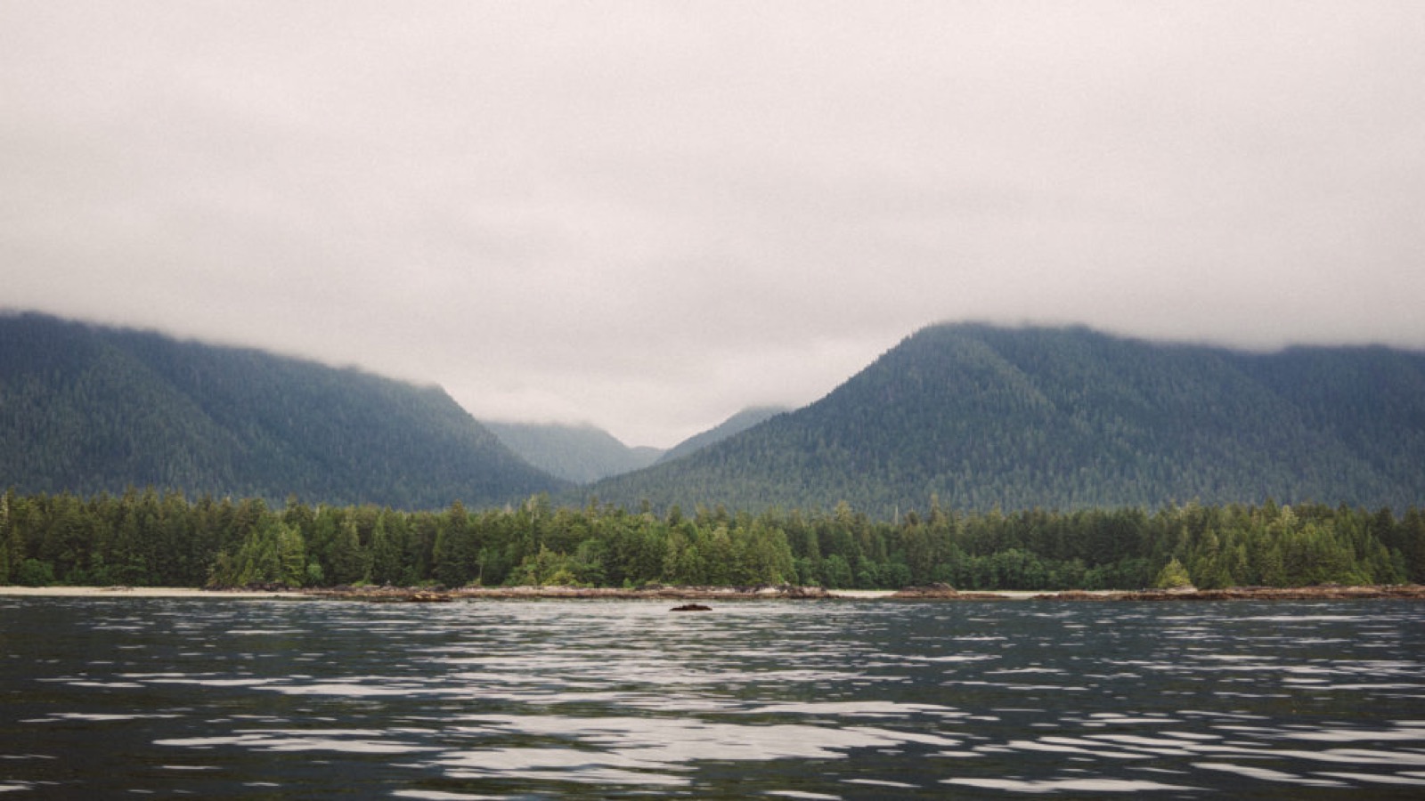 water sports tofino things to do