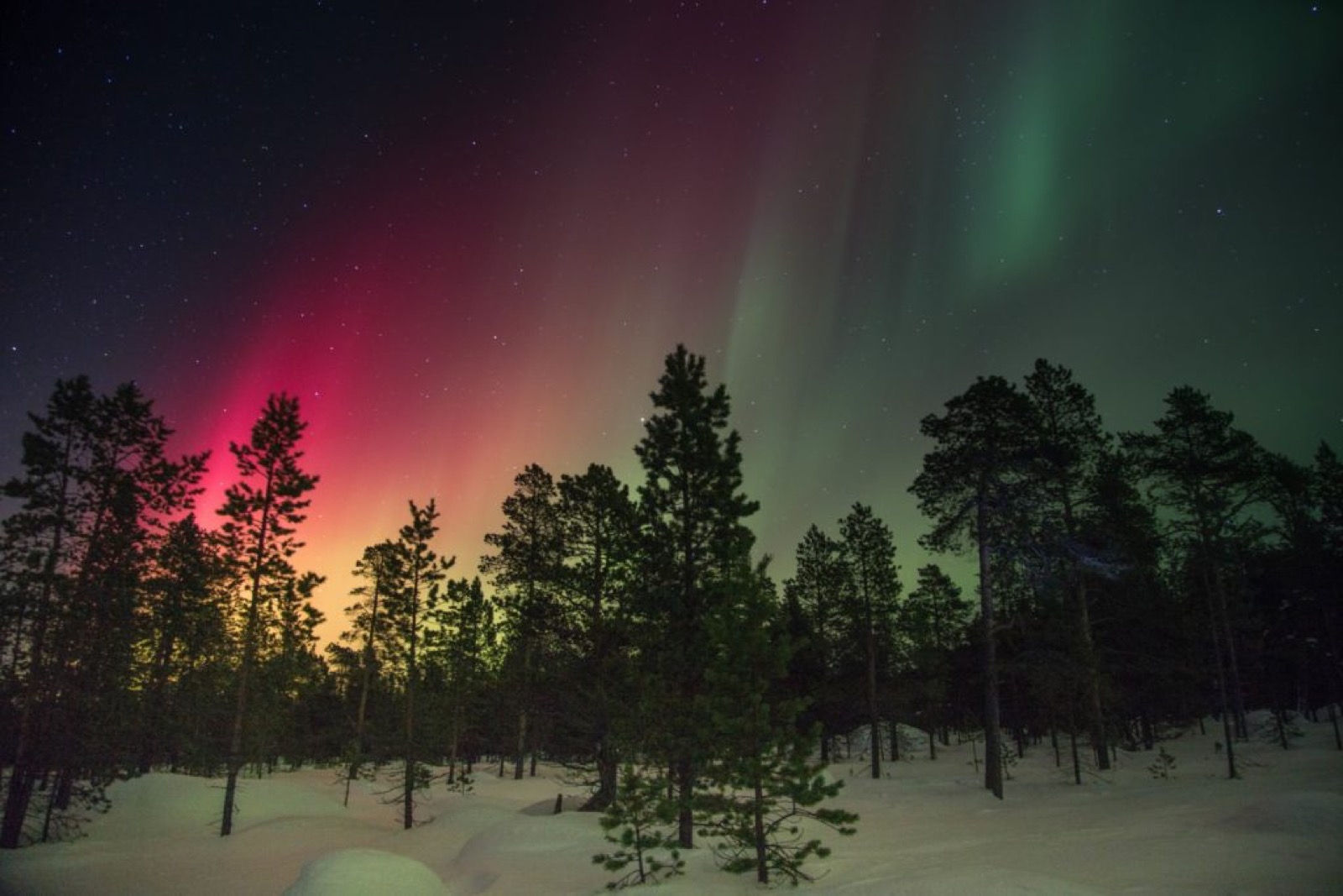 Comment repérer les aurores boréales au Canada