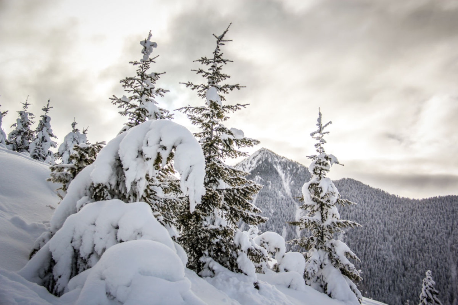 snowboarding-columbia-valley-bc-27