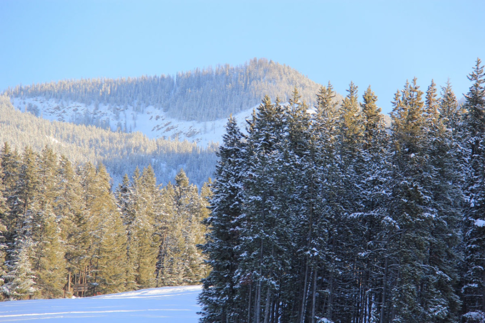 snowboarding-columbia-valley-bc-8