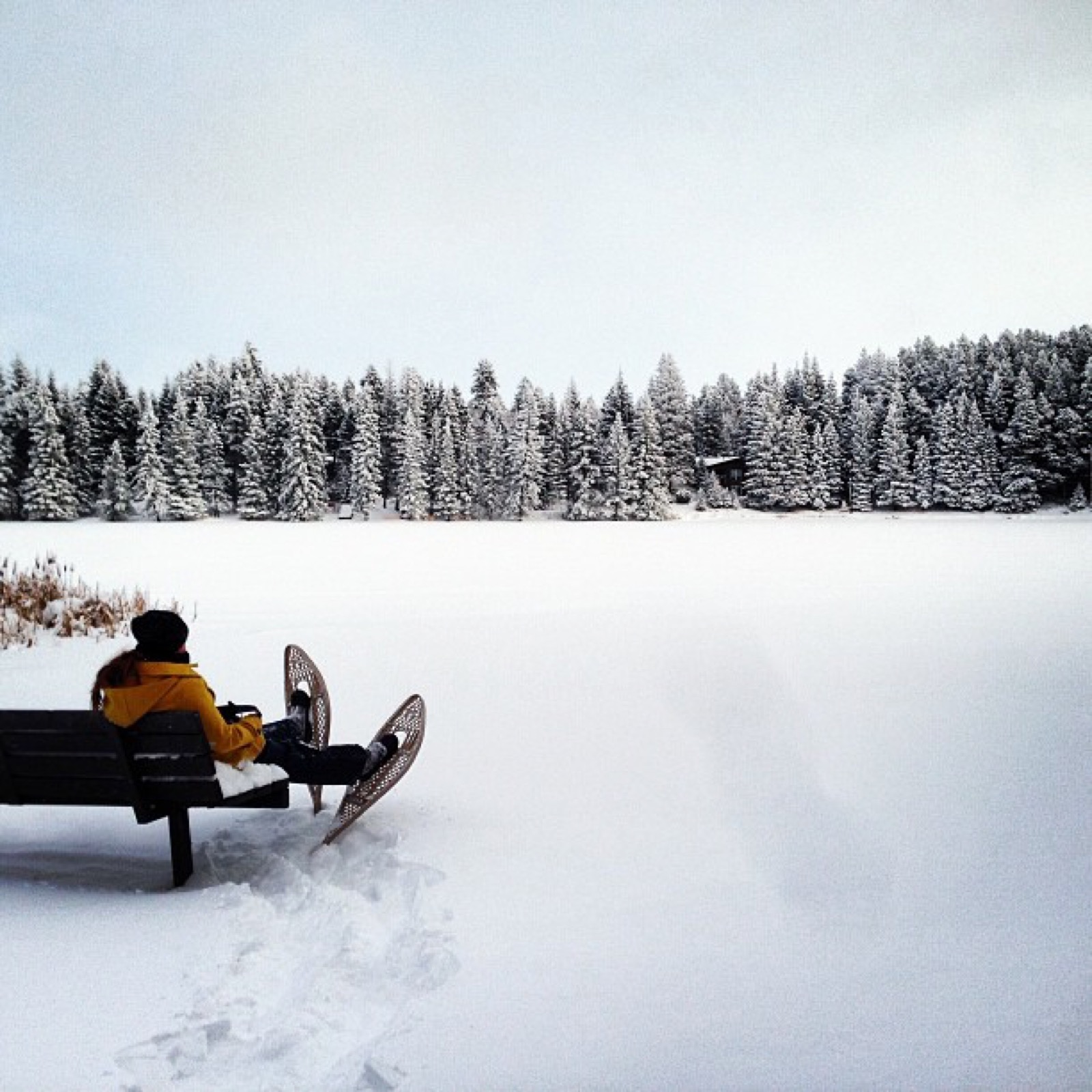 snowshoe-canada-cypress-hills-sk