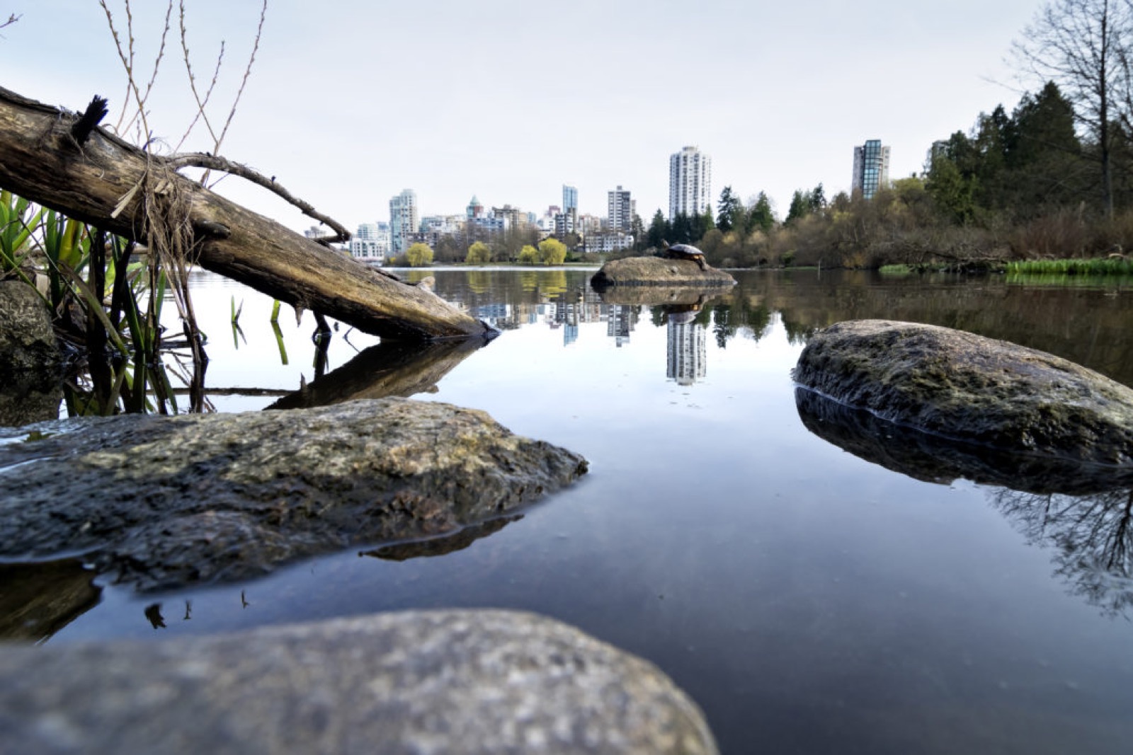 Dinge, die man in Vancouver BC unternehmen kann - Ein kompletter Reiseführer