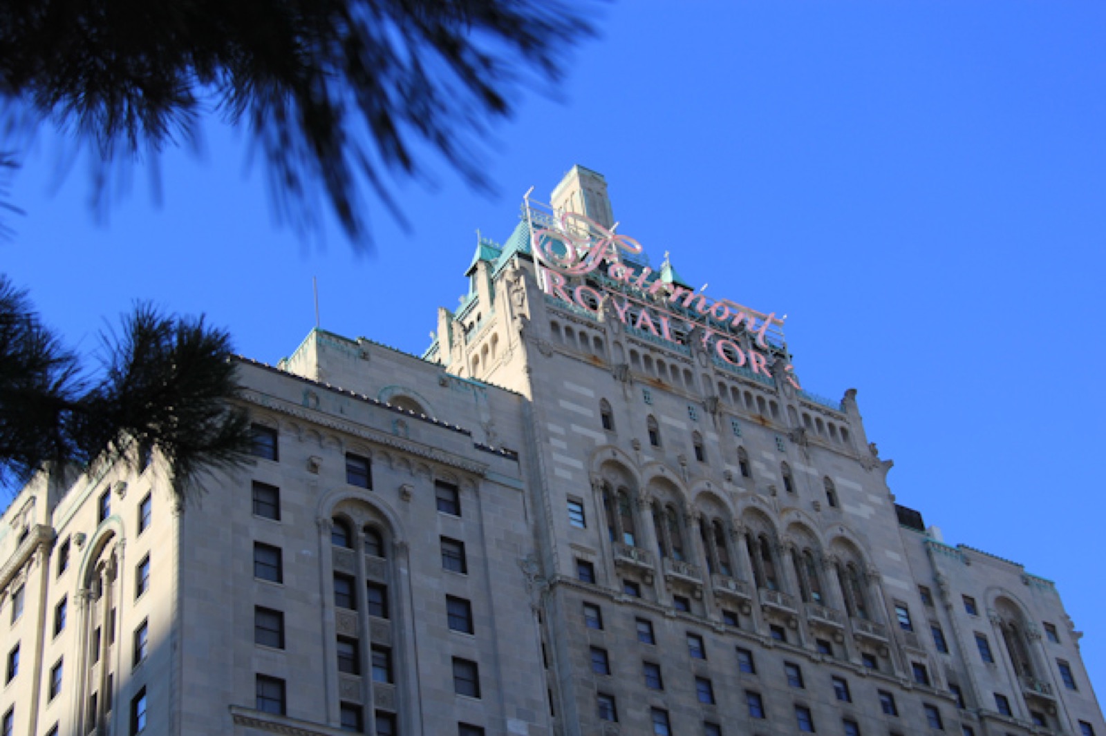 toronto-loves-honeybees-fairmont-royal-york-4