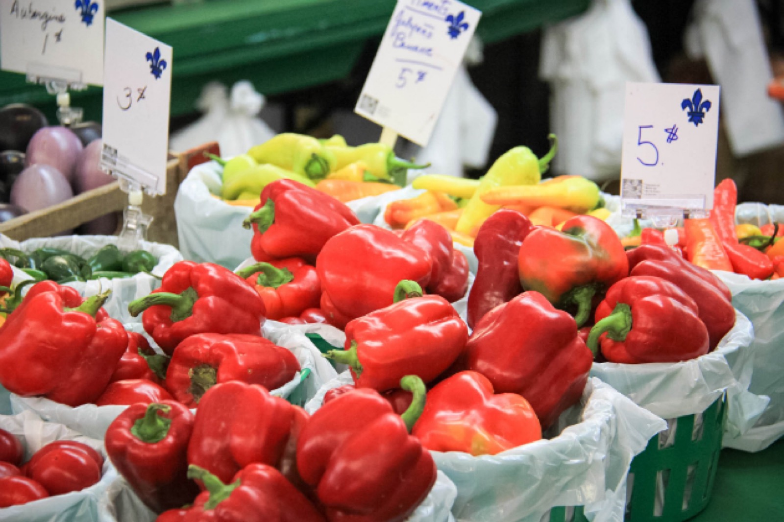 Montreal Markt frisches Gemüse