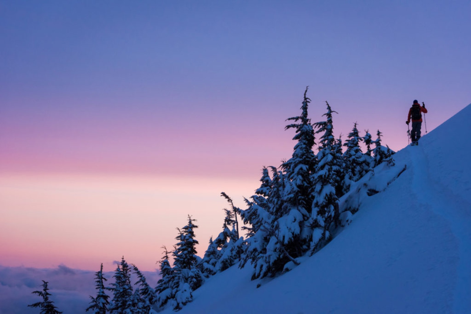 whistler blackcomb trail map