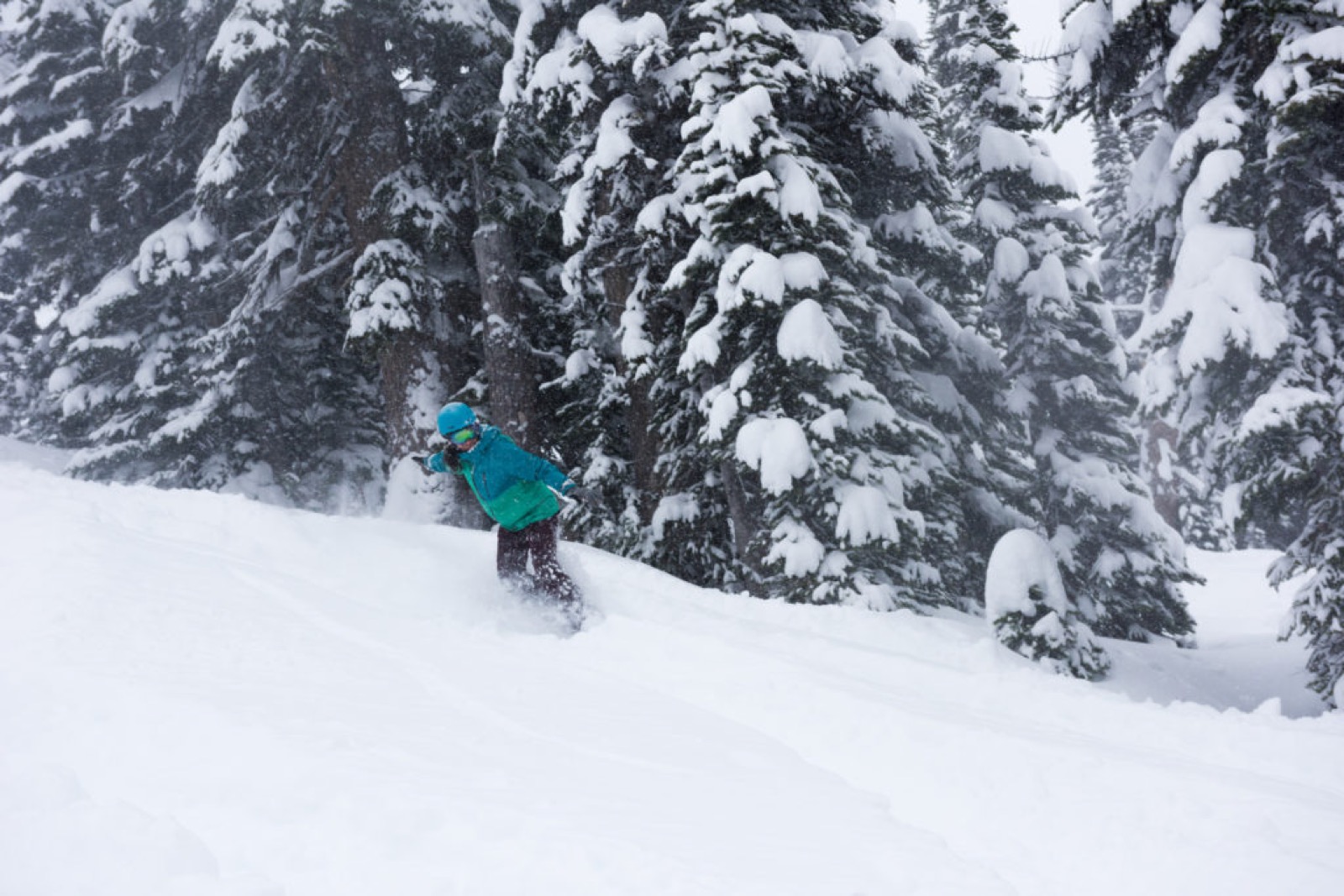 whistler powder trail map