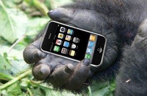 GorillaCam-Iphone-App
