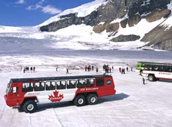 Colmbia Icefield Tour