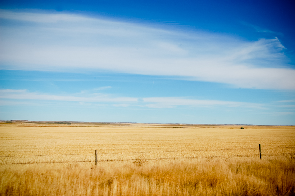 Saskatchewan-Prairie-Fields