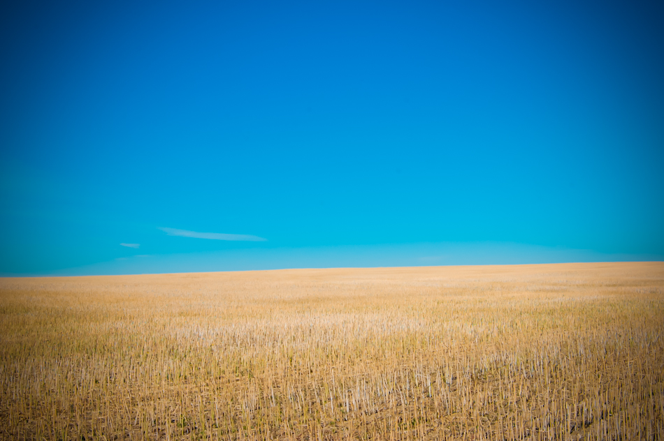 Flatlands of the Saskatchewan Prairies