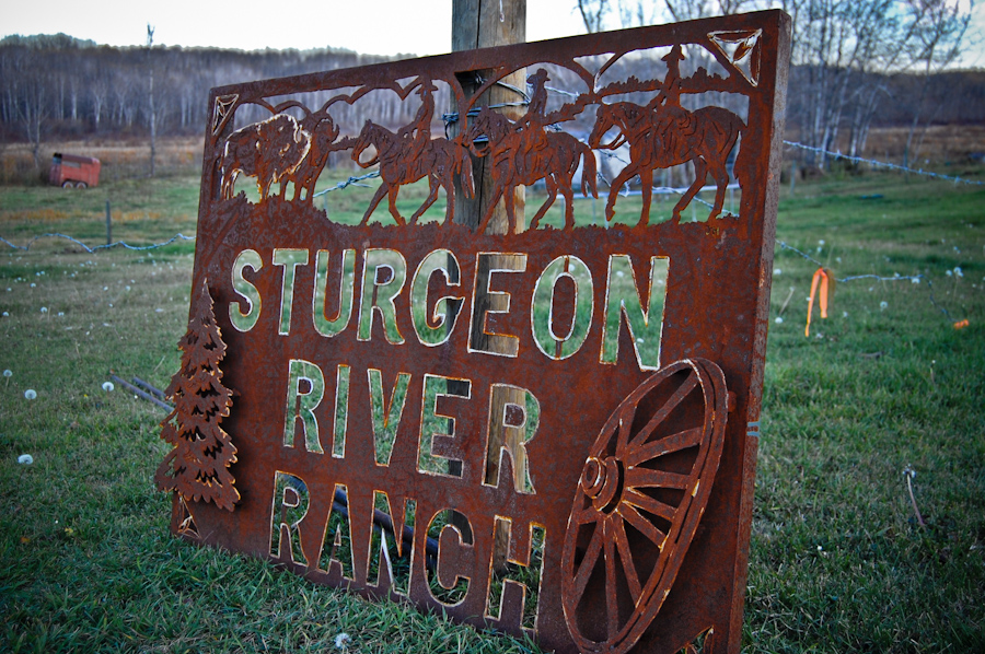 Sturgeon River Ranch, Saskatchewan