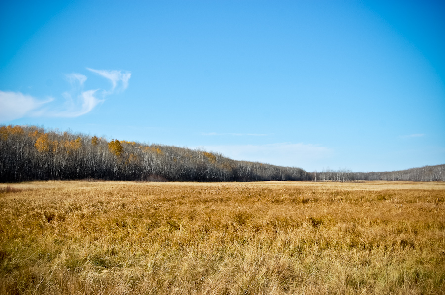 Long meadow prince albert national park sk