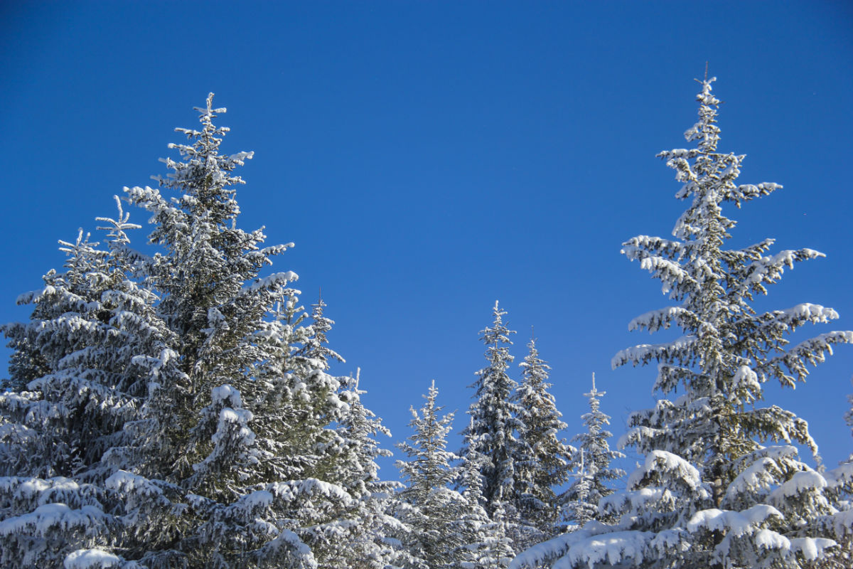 16 Winter Activities to Enjoy in Canada