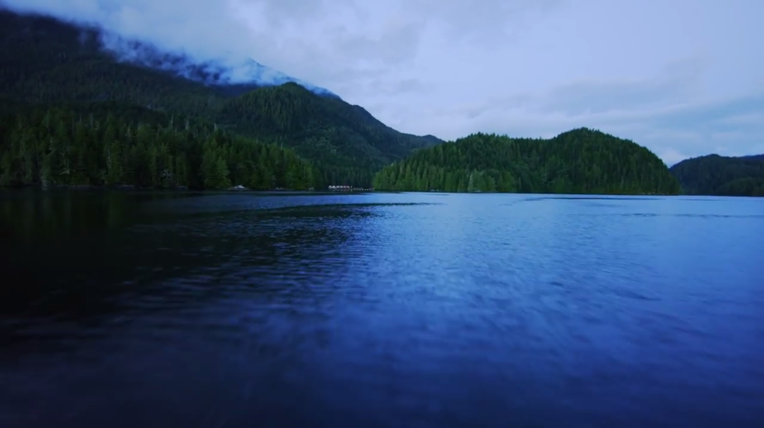 Explore the Great Bear Rainforest in 4k