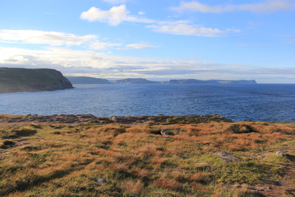 st-johns-cape-spear-w1024