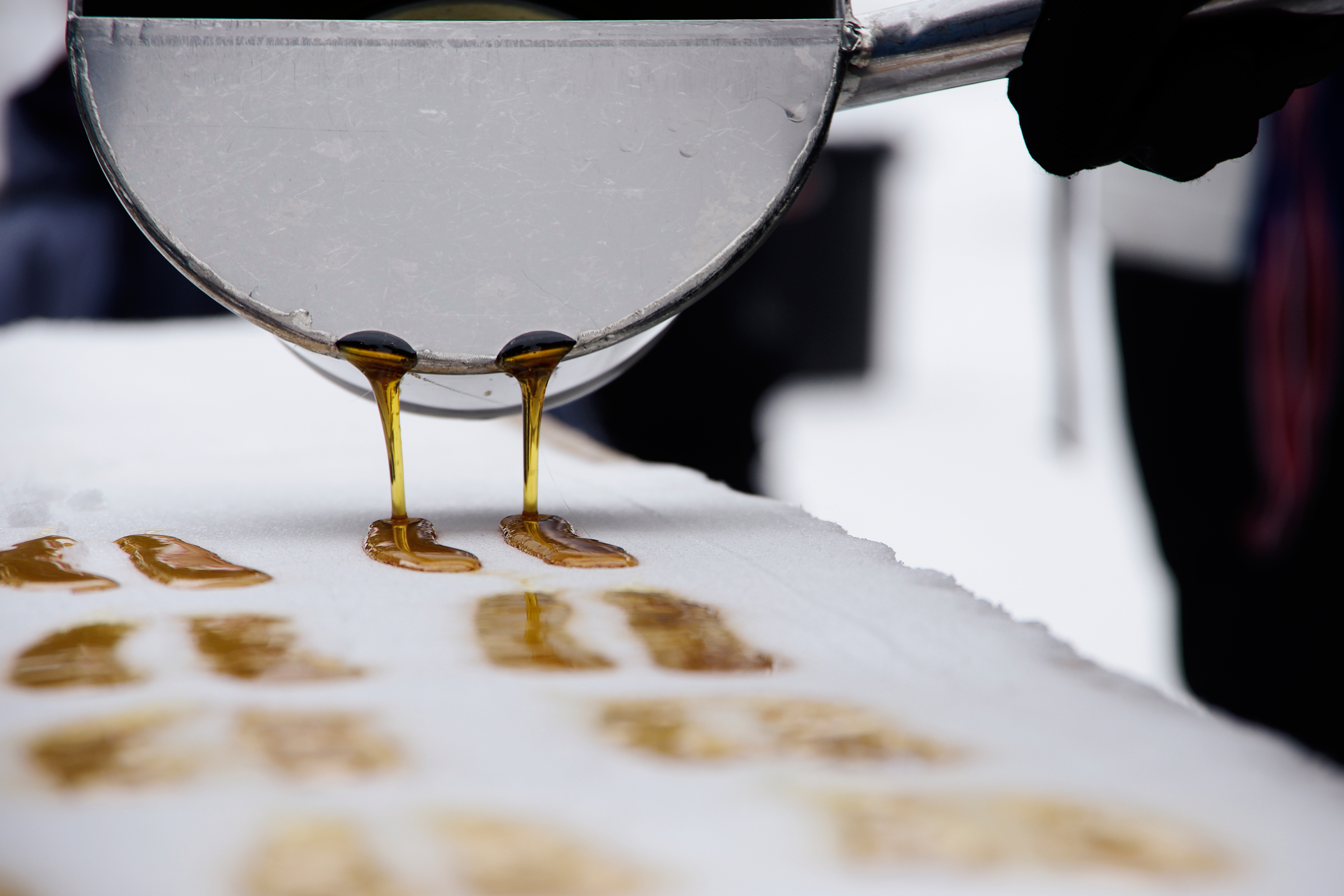 JustFly’s favourite maple syrup facts to know for this spring